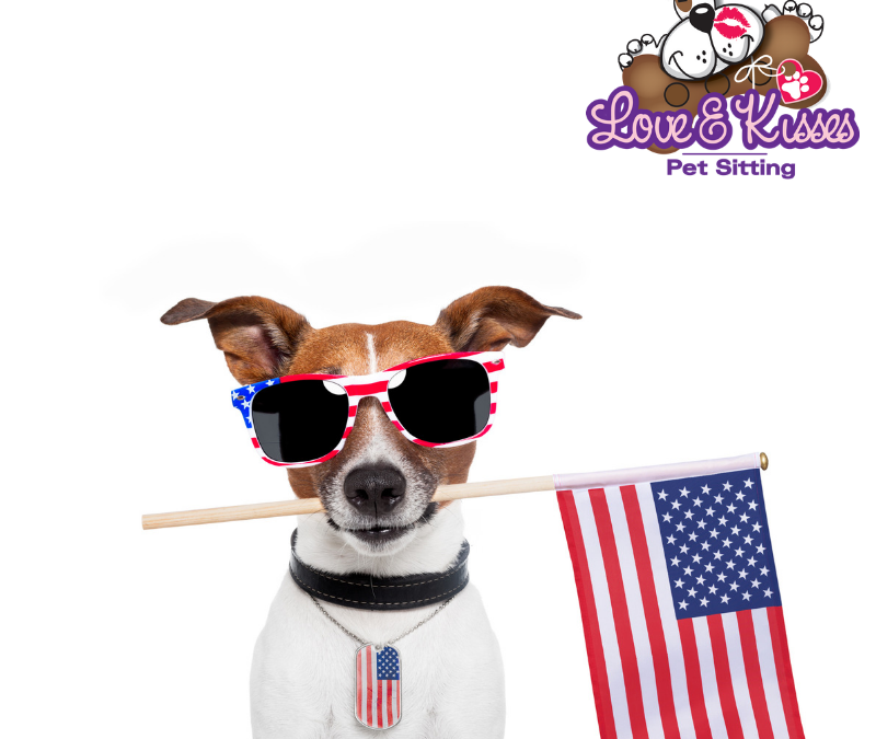 Tips to Prepare Your Dog How To Keep Your Dog Calm On July 4th of July