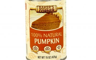 Why Pumpkin Is So Good For Your Dog