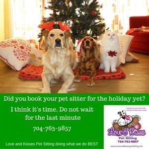 Pet Sitter - Holidays