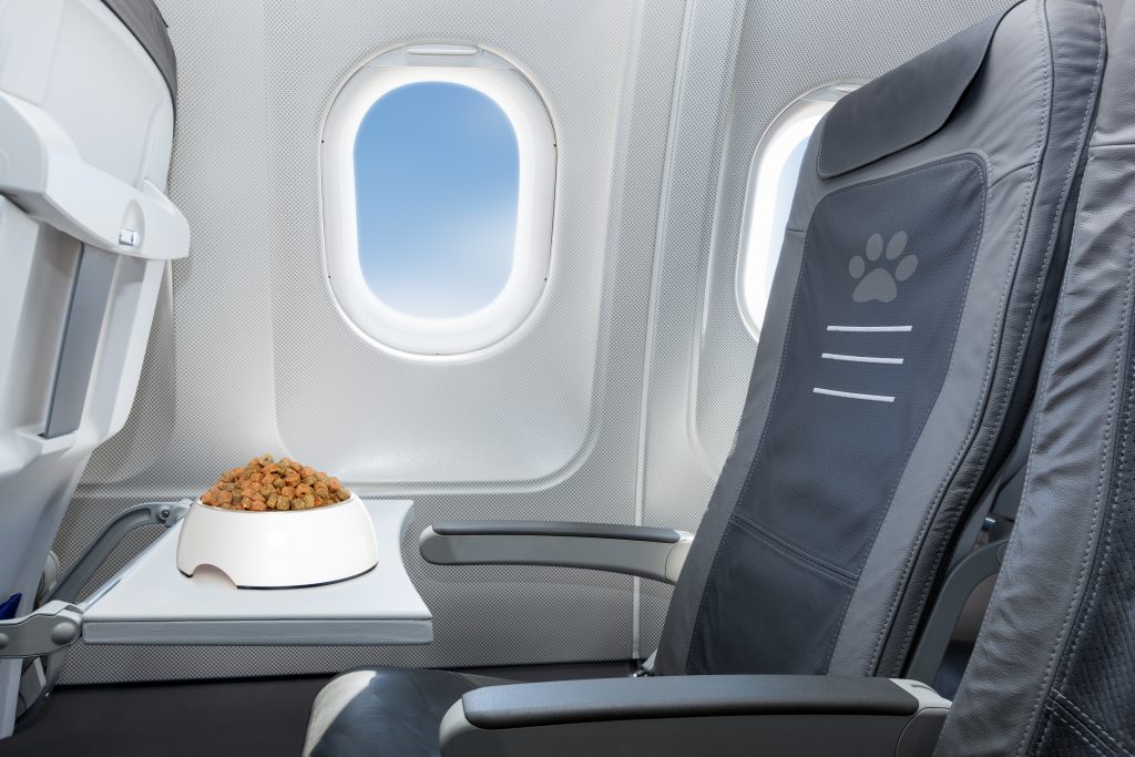 Traveling on a Airplane With Your Pet