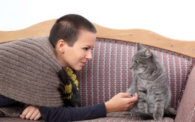 10 Tips to Keep Your Home Clean With Pets