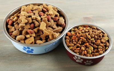 Best Cheap Dog Food – Reviews and Purchase Guide    