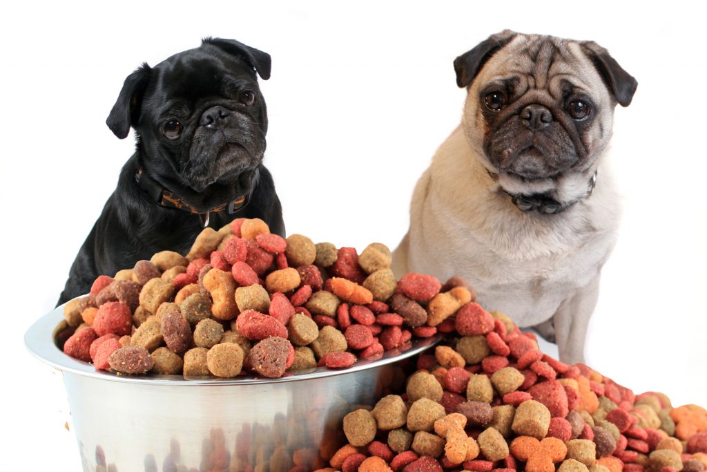 Nutritional Diets From Puppy To Elderly Pooch