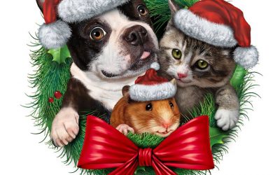 Best and Safest Christmas Dog Treats