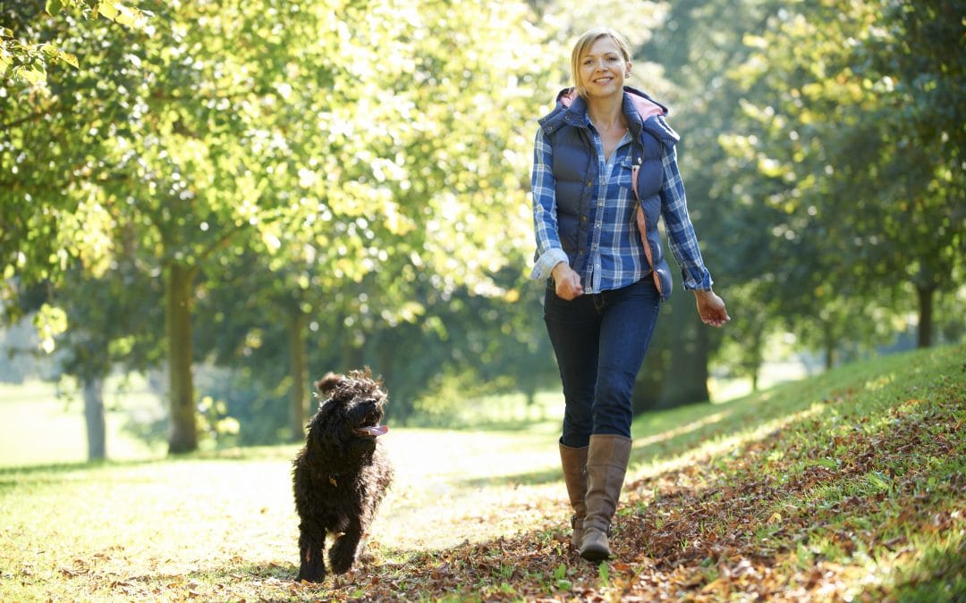 How Much Does a Pet Sitter Cost in South Charlotte?