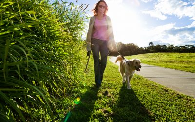 4 Benefits of Daily Dog Walking that People Never Talk About