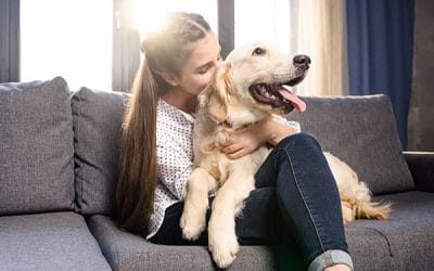 Coronavirus, What to Do With Your Pets While In Quarantine