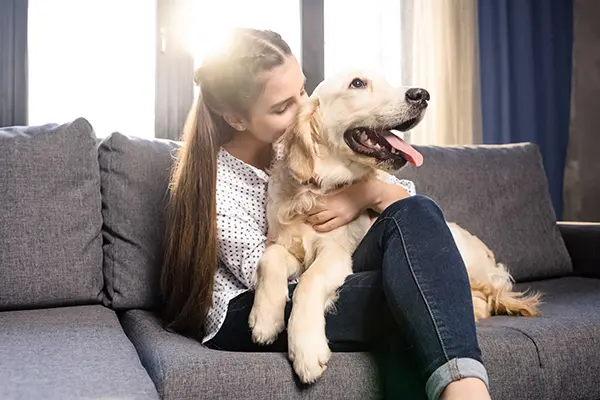 Making Your Home A Dog-Friendly Zone
