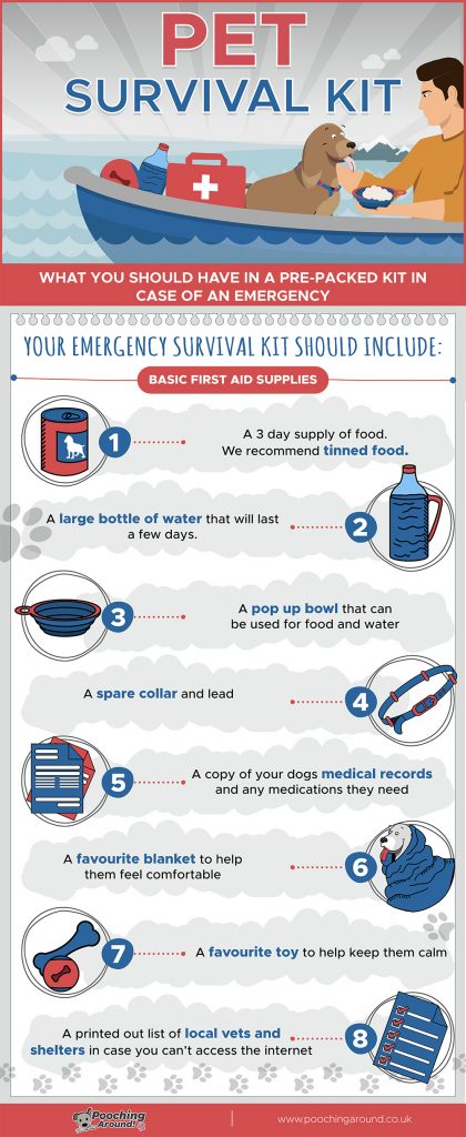Dog's Survival Kit For Emergencies