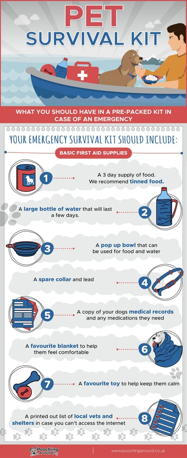 What to Add in a Dog's Survival Kit For Emergencies Love and Kisses