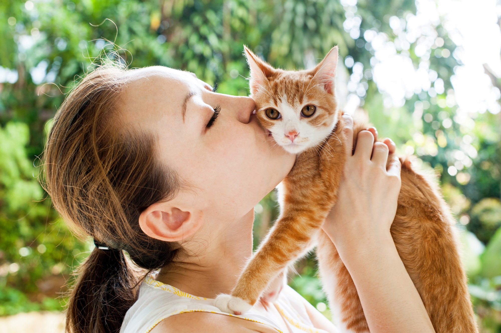 Best Quotes About People Who Love Cats Flipboard