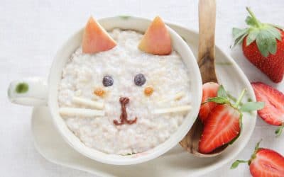 Can Cats Eat Oatmeal?