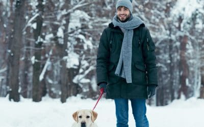 Can Snow Ice Salt Hurt My Dog’s Paws?