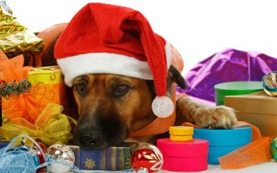 2019 Christmas Clothing Gifts for Your Dog