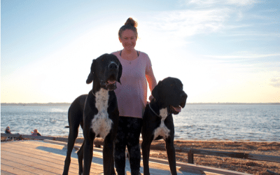7 Secrets TO Becoming The Best Large Breed Puppy Owner