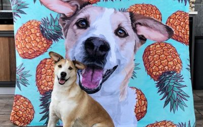 HOW TO CREATE FUN MEMORIES WITH YOUR PET
