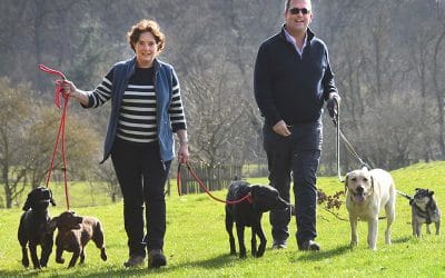 5 Tips For Taking Your Dog Into The Great Outdoors