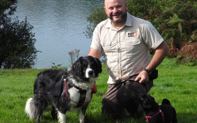 What It Takes To Find a Great Dog Walker?