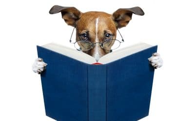 Books Dog Lovers Won’t Be Able to Put Down