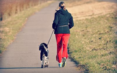 5 Ways To Make Sure Your Dog Gets More Exercise