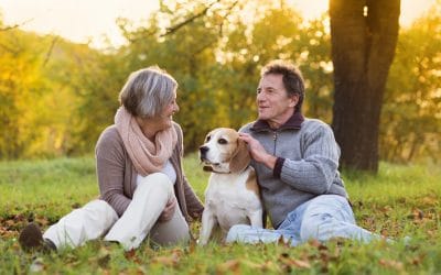 Picking the Right Dog for Your Personality