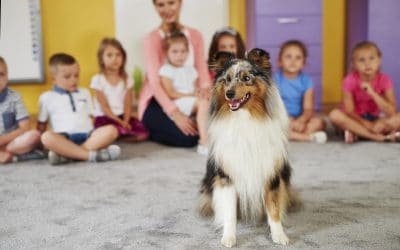 3 Pets You Can Keep in Your College Dorm