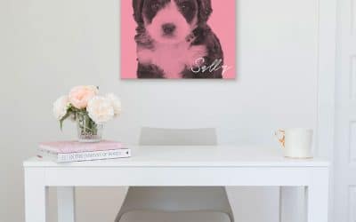 6 Reasons Why You Should Get an Emotional Support Pet
