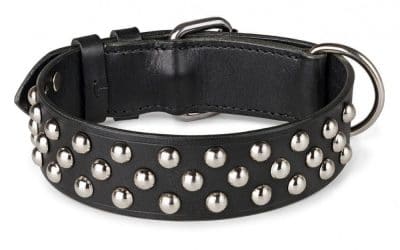 Dog Collars and Leashes – Pick the Right Ones