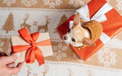 The Ultimate Gift Guide for Animal Lovers