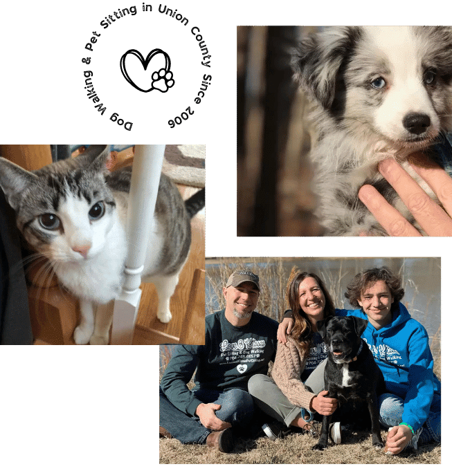 Voted South Charlotte’s Most Trusted Pet Sitting & Dog Walking Company