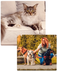 Love and Kisses Pet Sitting Dog Walking Indian Land SC