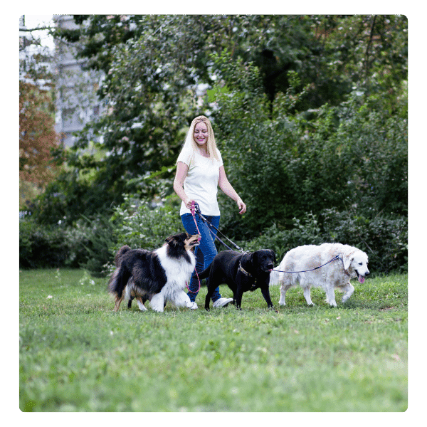 Pet Sitting & DOG WALKING IN hemby bridge