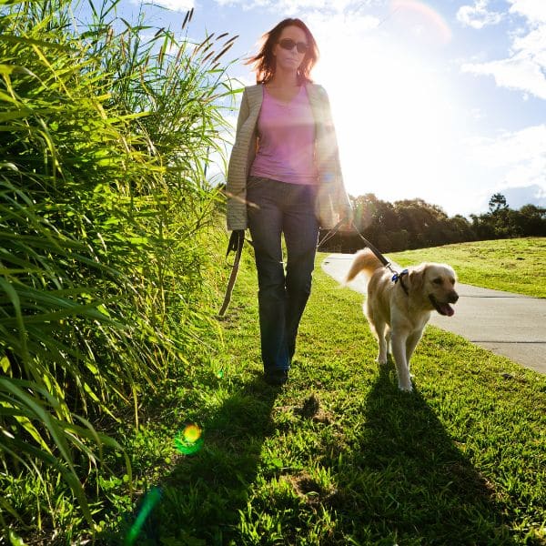 Pet Sitting and Dog Walking in Matthews, North Carolina